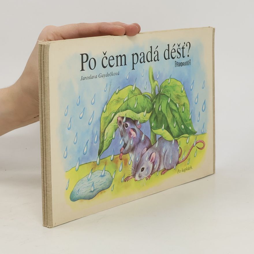 Jaroslava Gaydečková Po čem padá déšť?