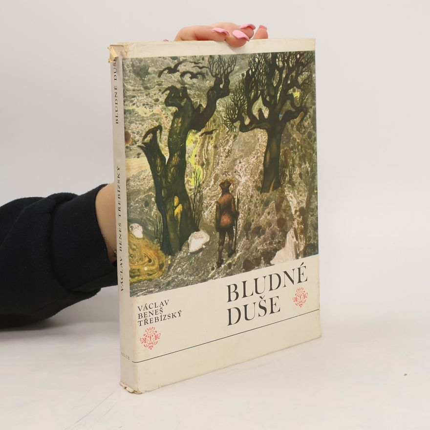Václav Beneš Třebízský Bludné duše