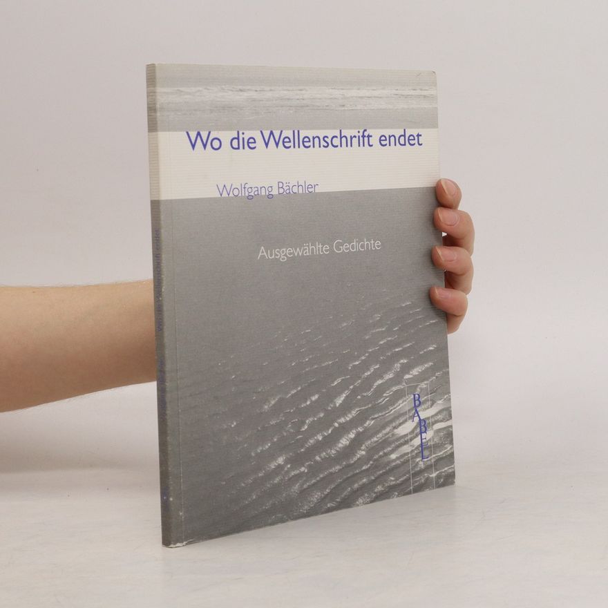 Wolfgang Bächler Wo die Wellenschrift endet
