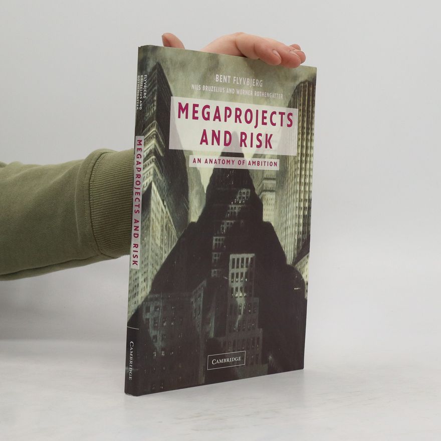 Bent Flyvbjerg Megaprojects and Risk