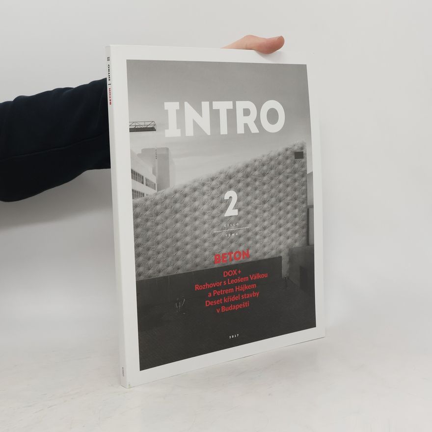 Autorenkollektiv Intro 2/2017. Beton