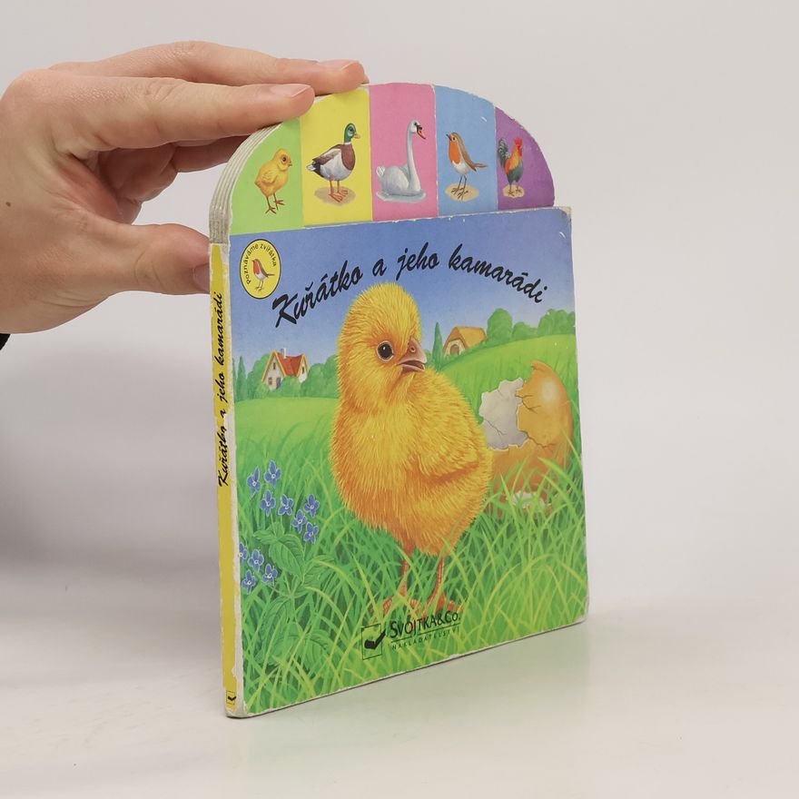 Autorenkollektiv Kuřátko a jeho kamarádi