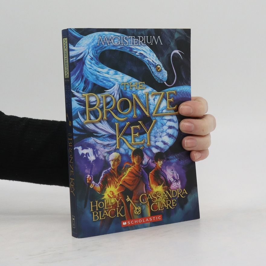 Holly Black The Bronze Key