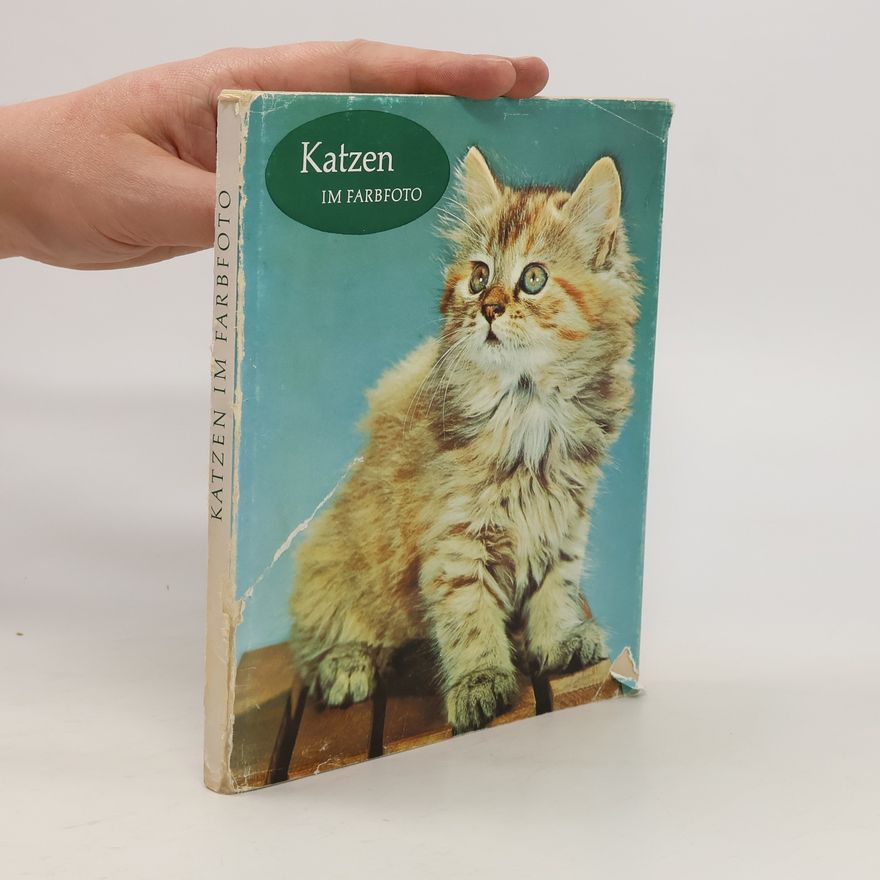 Various authors Katzen im Farbfoto