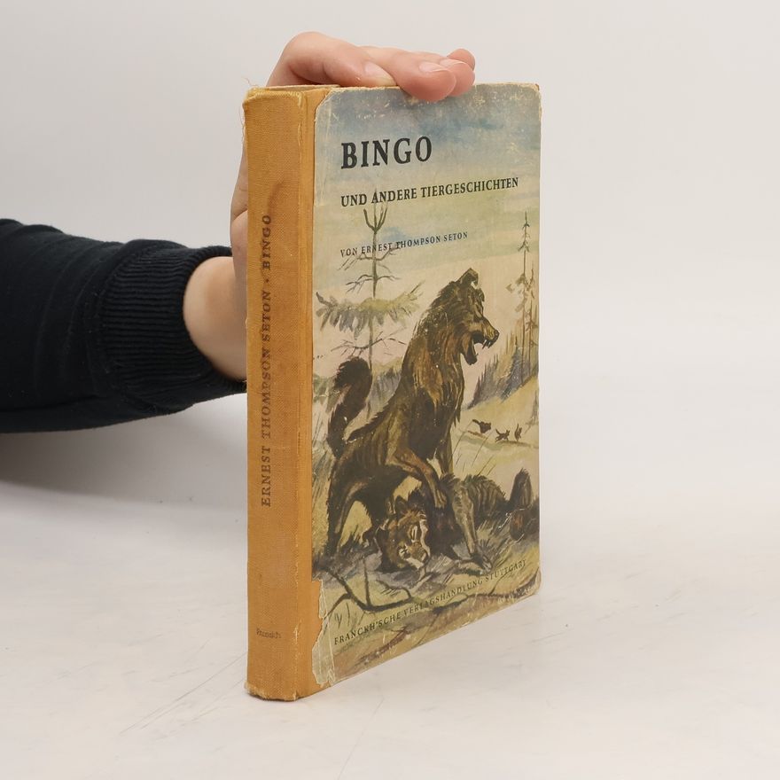 Ernest Thompson Seton Bingo und andere Tiergeschichten