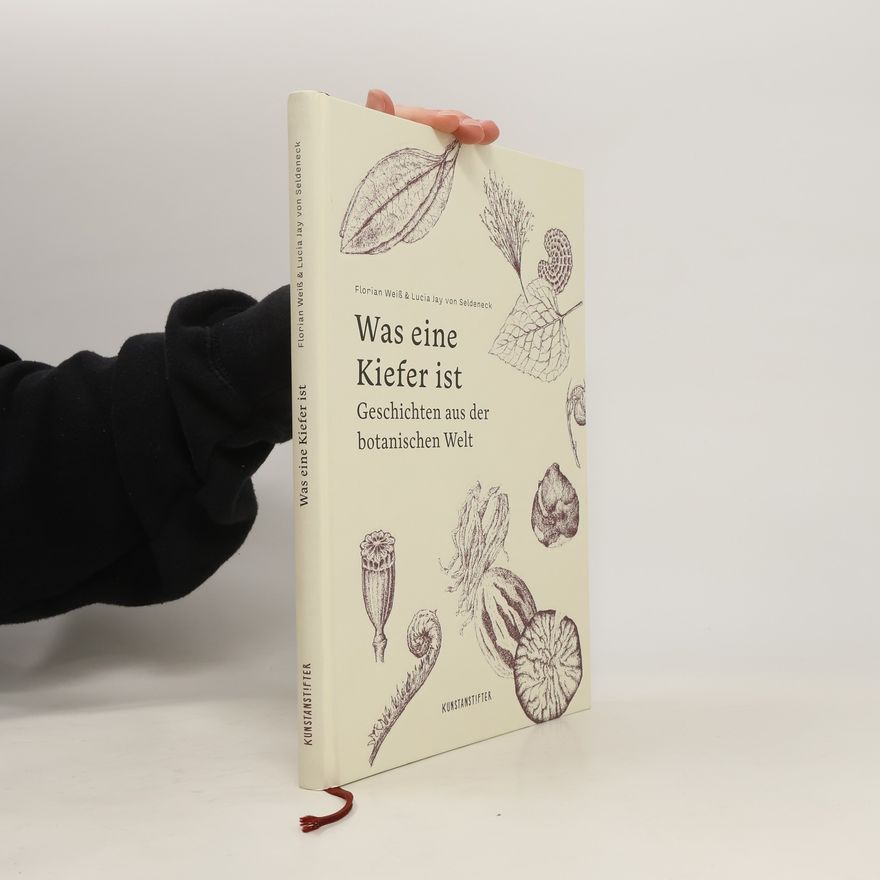 Florian Weiß Was eine Kiefer ist. Geschichten aus der botanischen Welt
