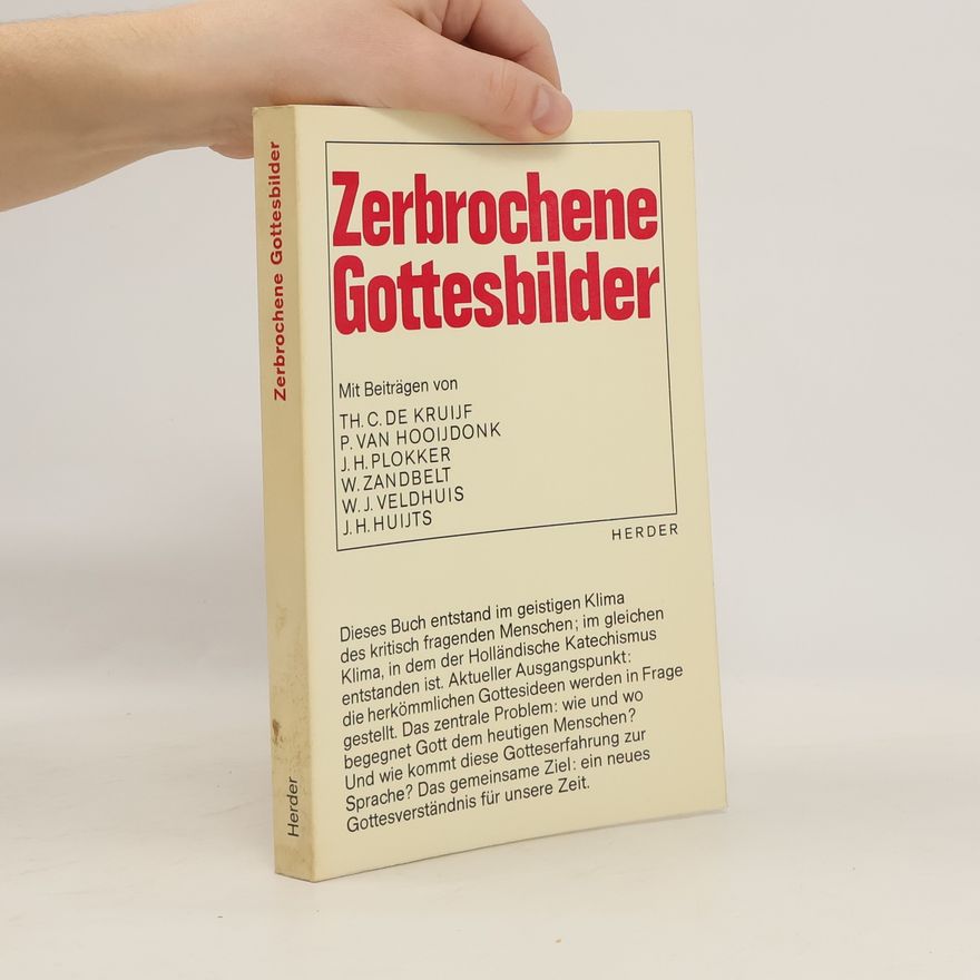 Kolektiv autorů Zerbrochene Gottesbilder