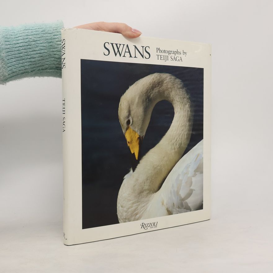 Teiji Saga Swans
