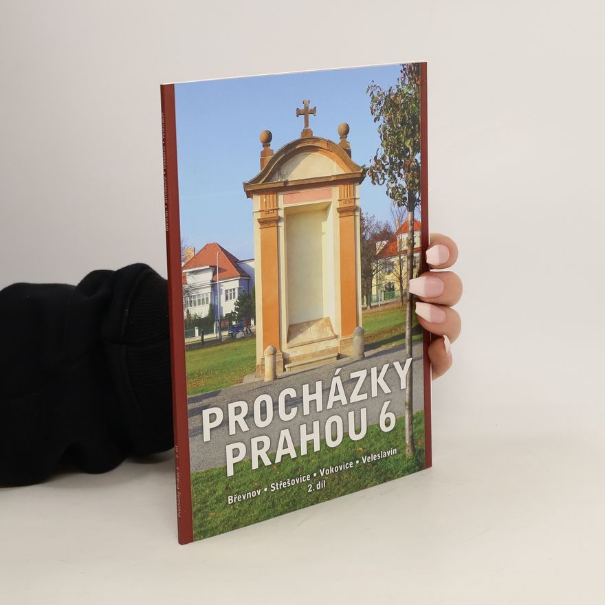 Various authors Procházky Prahou 6: 2. díl