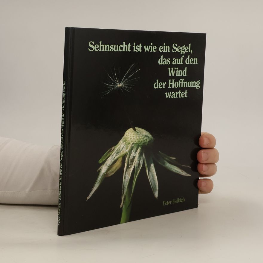 Autorenkollektiv Sehnsucht ist wie ein Segel, das auf den Wind der Hoffnung wartet
