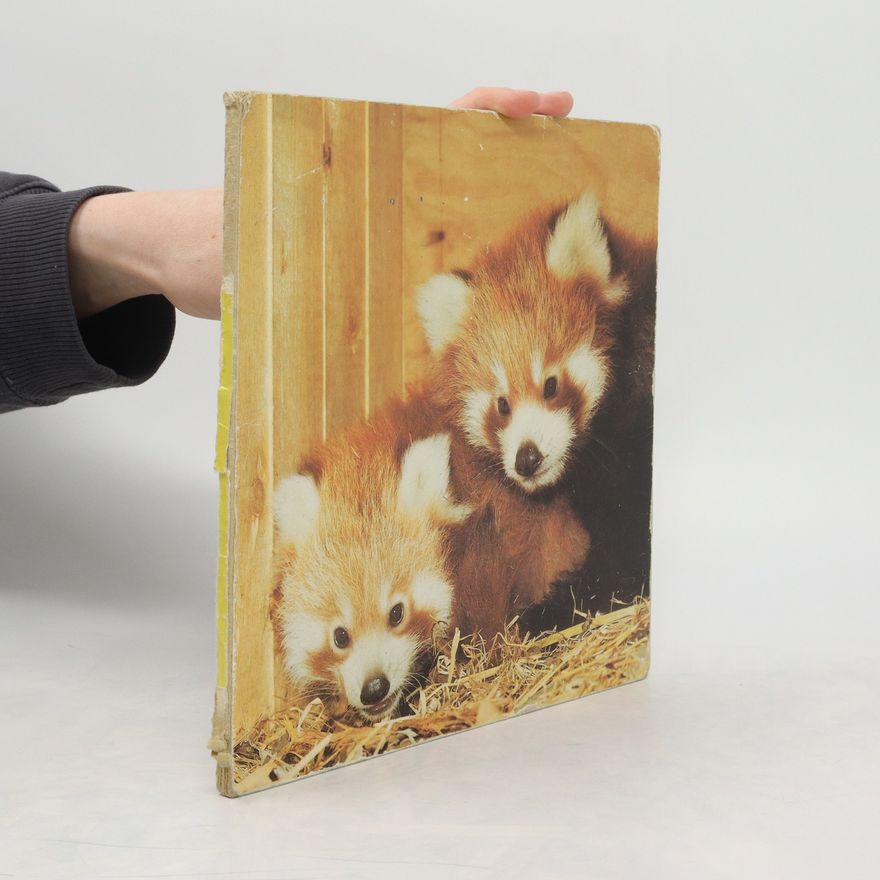 Autorenkollektiv Fotobilderbuch 5