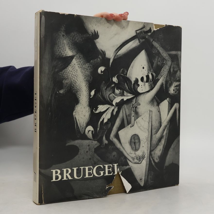 Roger Marijnissen Bruegel the elder
