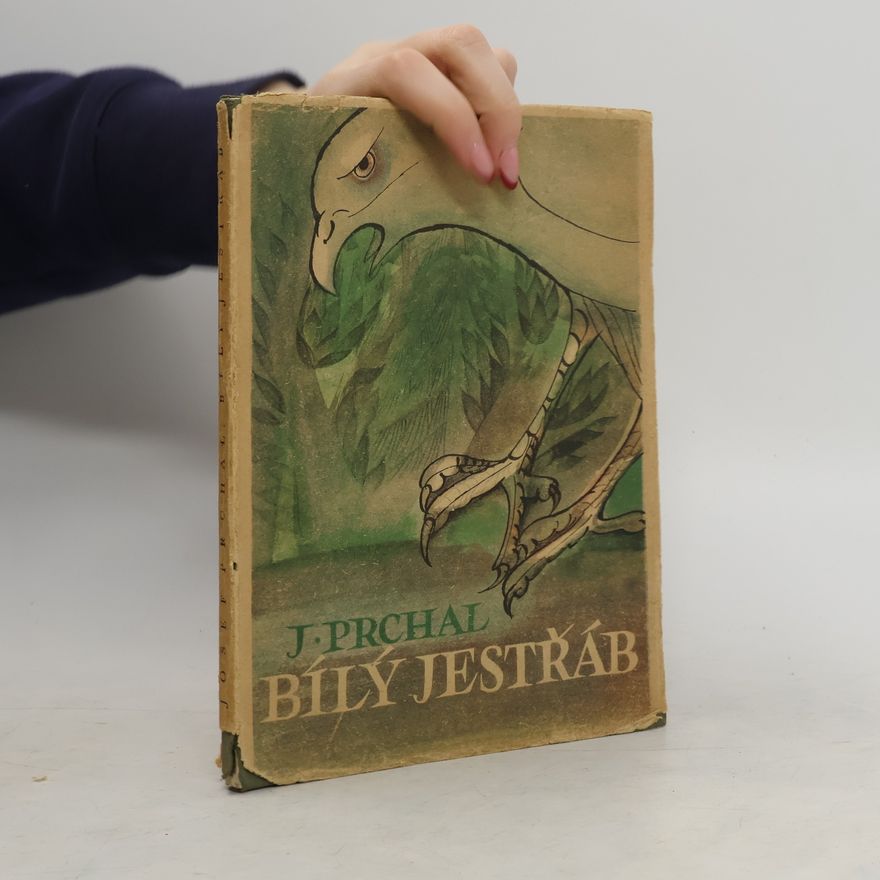 Josef Prchal Bílý jestřáb