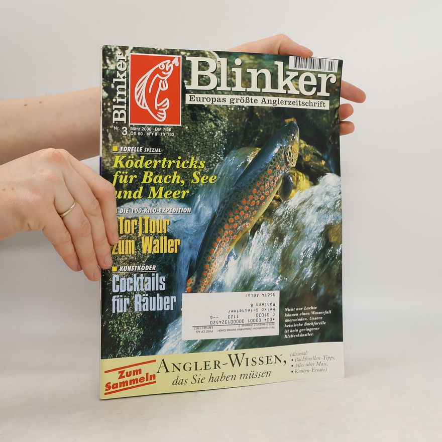 Kolektiv autorů Blinker 3/2000