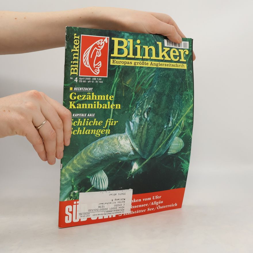 Kolektiv autorů Blinker 4/2000