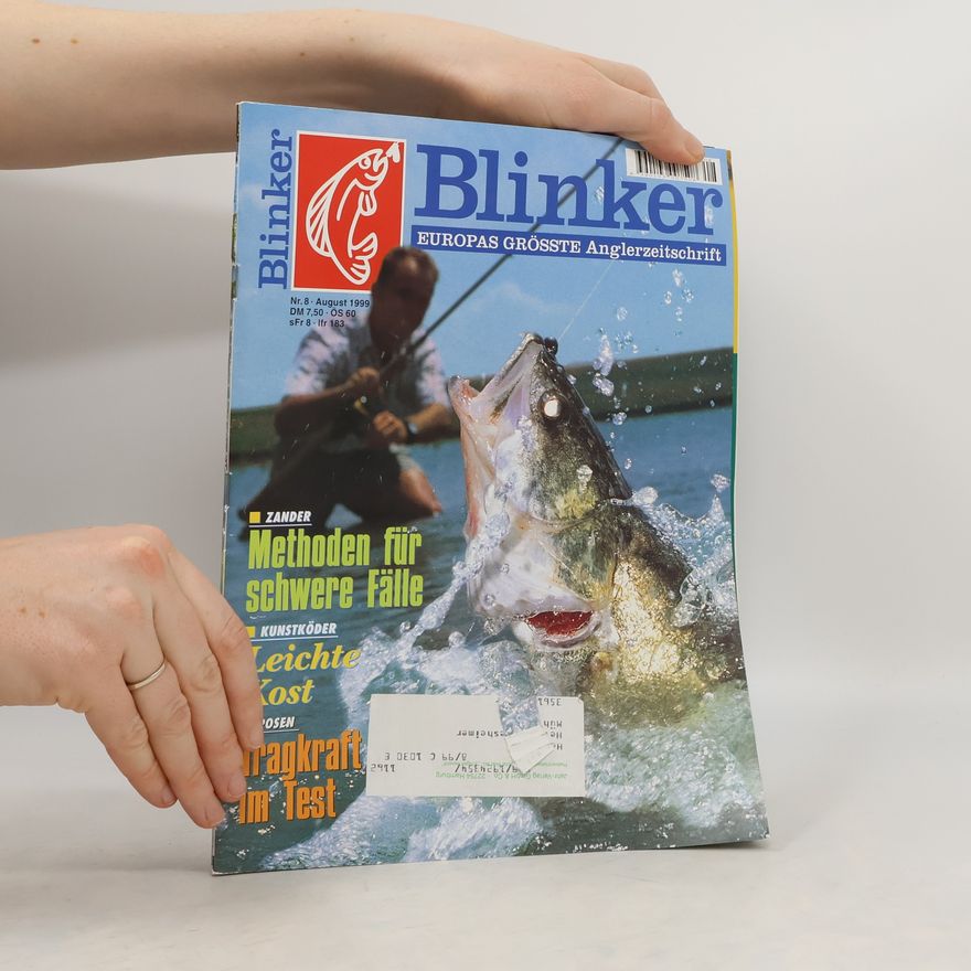 Kolektiv autorů Blinker 8/1999