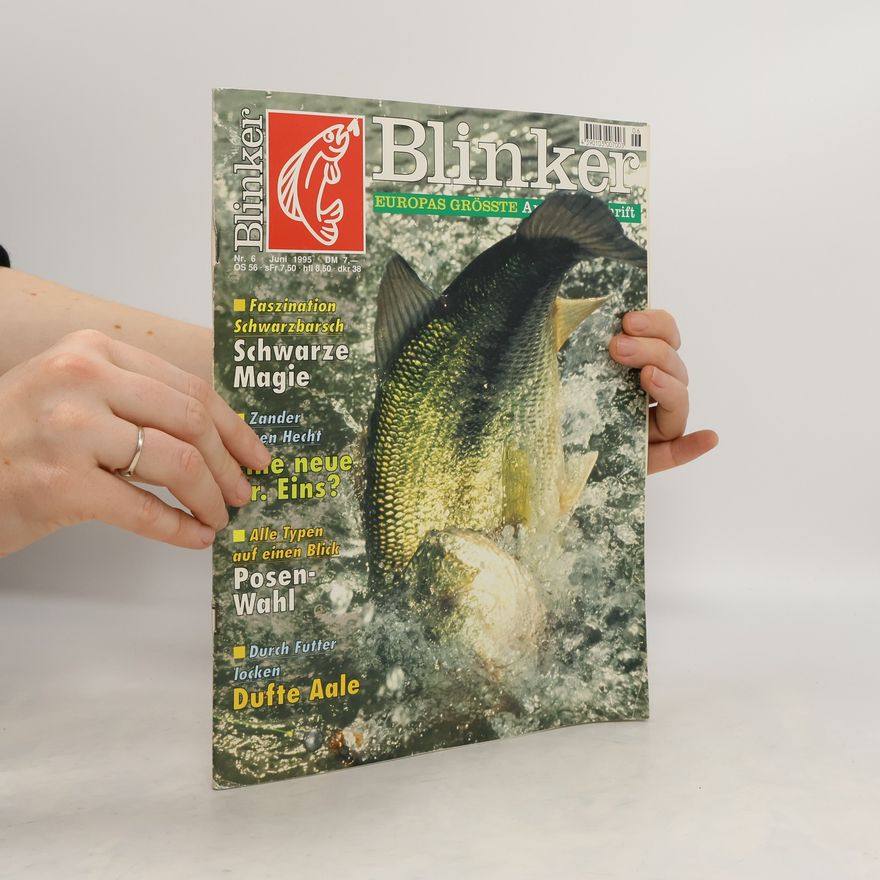 Kolektiv autorů Blinker 6/1995