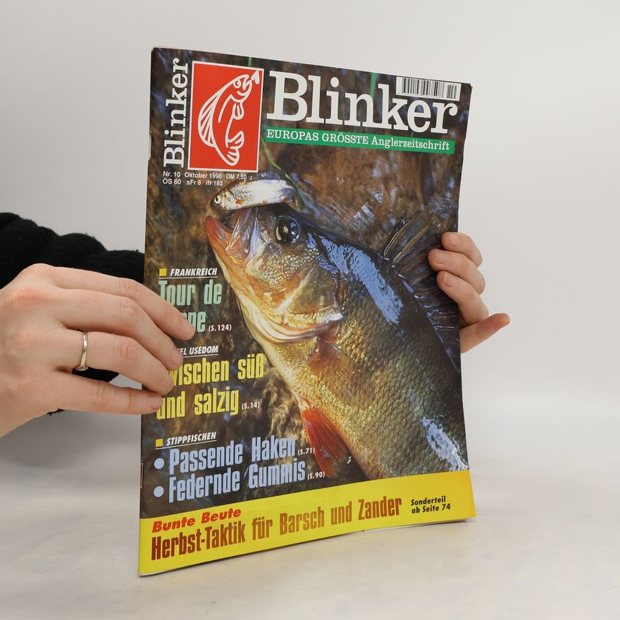 Kolektiv autorů Blinker 10/1998
