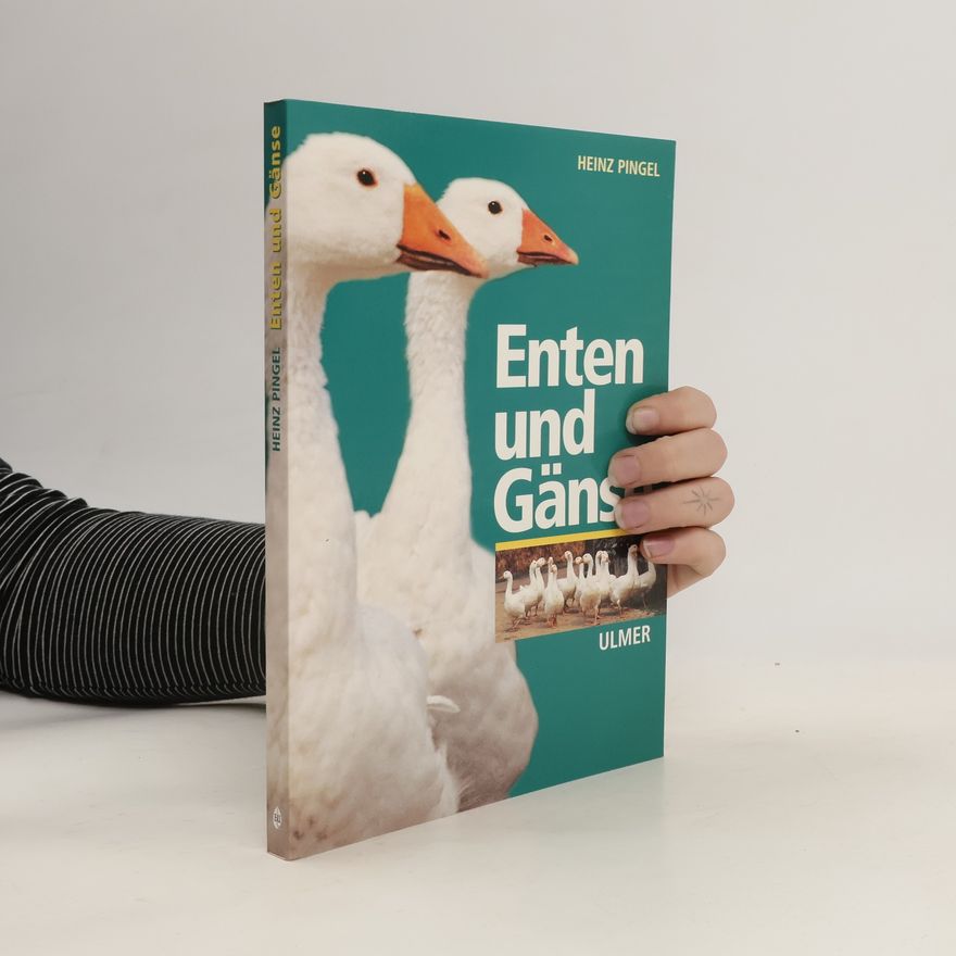 Heinz Pingel Enten und Gänse
