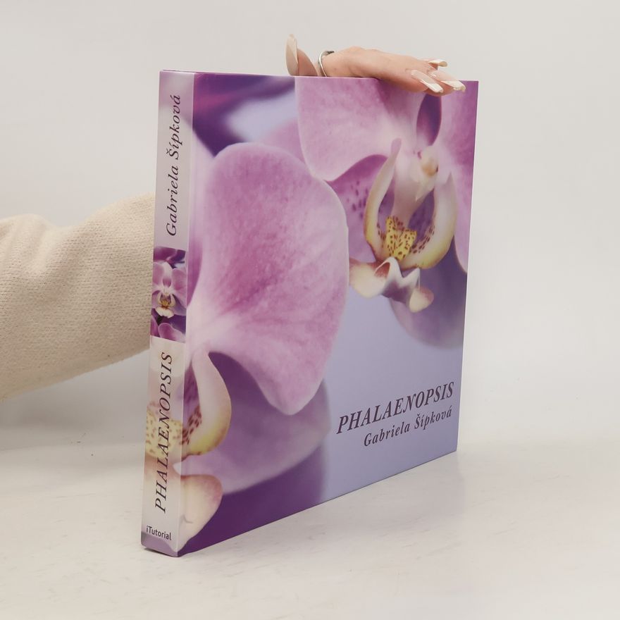 Gabriela Šípková Phalaenopsis