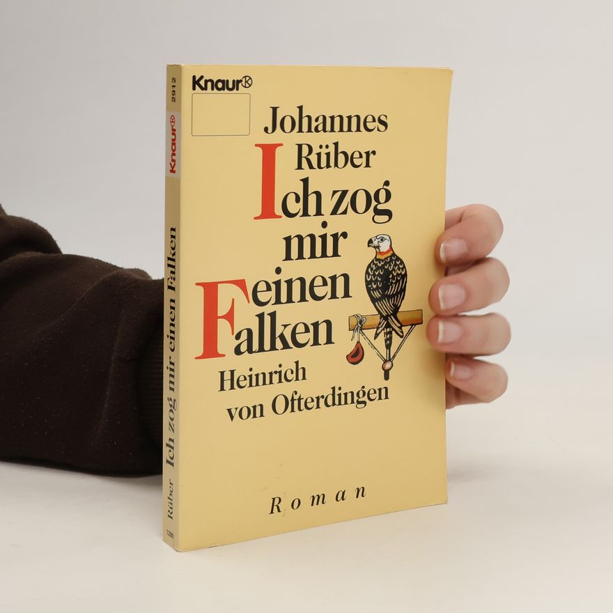 Johannes Rüber Ich zog mir einen Falken. Heinrich von Ofterdingen. Roman