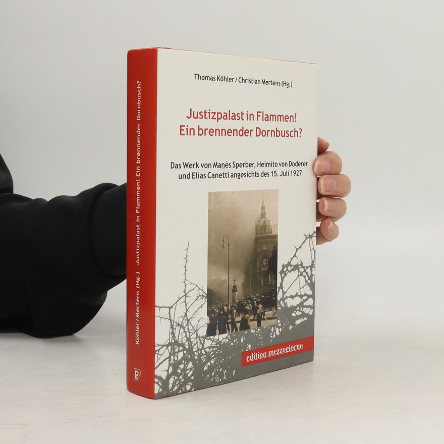 Thomas Köhler Justizpalast in Flammen! Ein brennender Dornbusch?