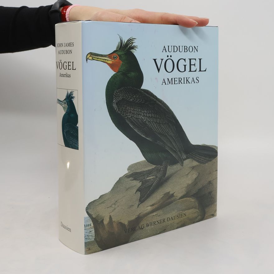 John James Audubon Vögel Amerikas