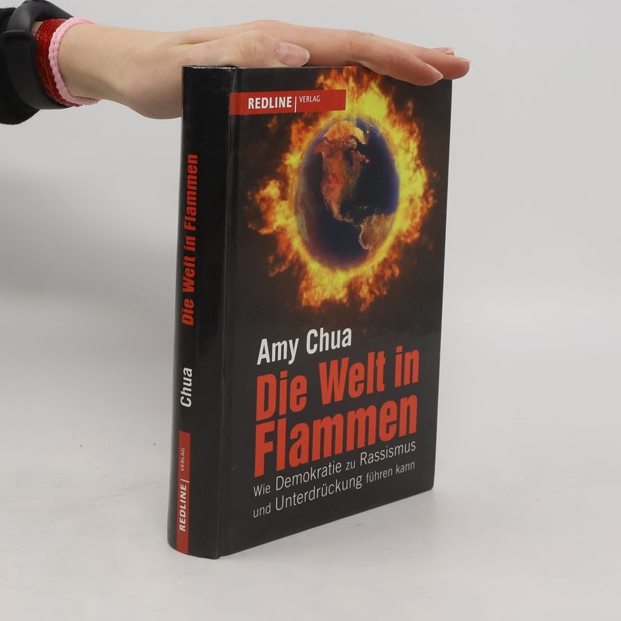 Amy Chua Die Welt in Flammen