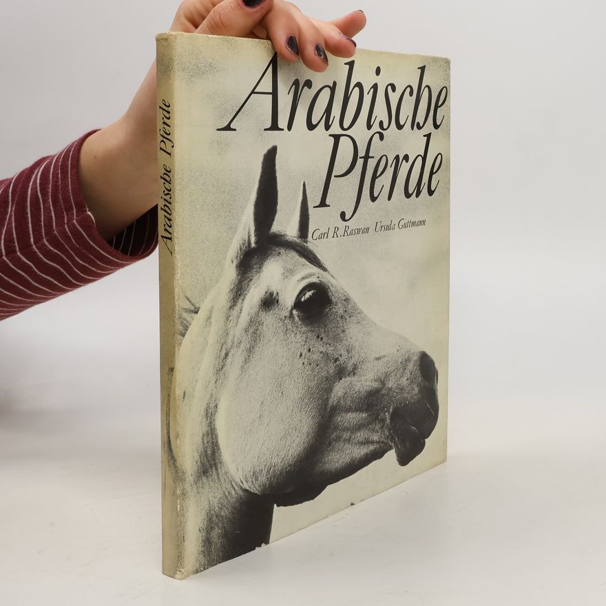 Ursula Guttmann Arabische Pferde
