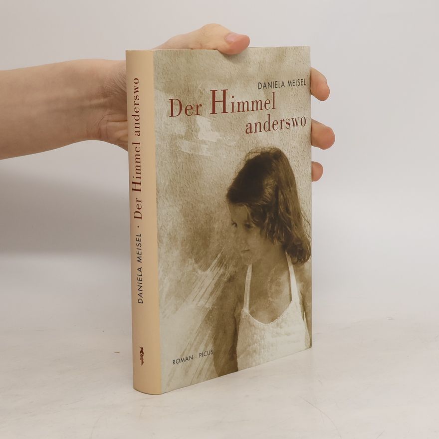 Daniela Meisel Der Himmel anderswo
