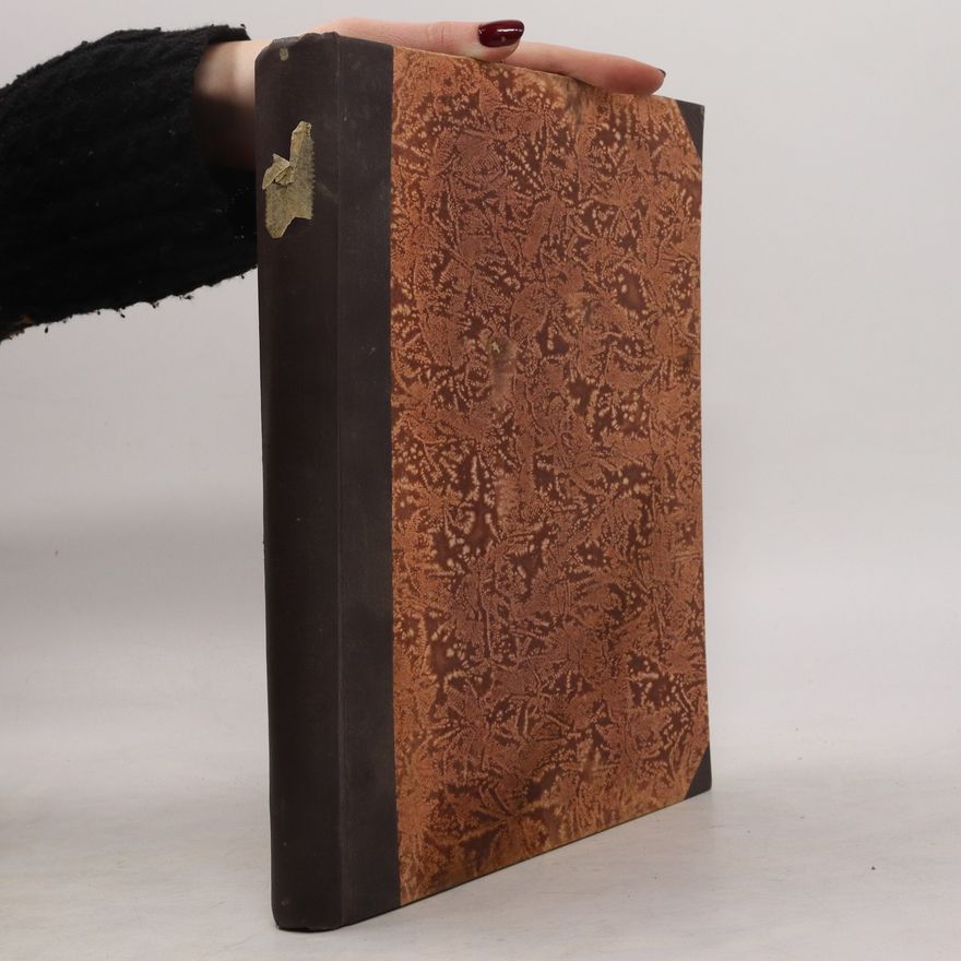 Various authors Energie 1-12/1924