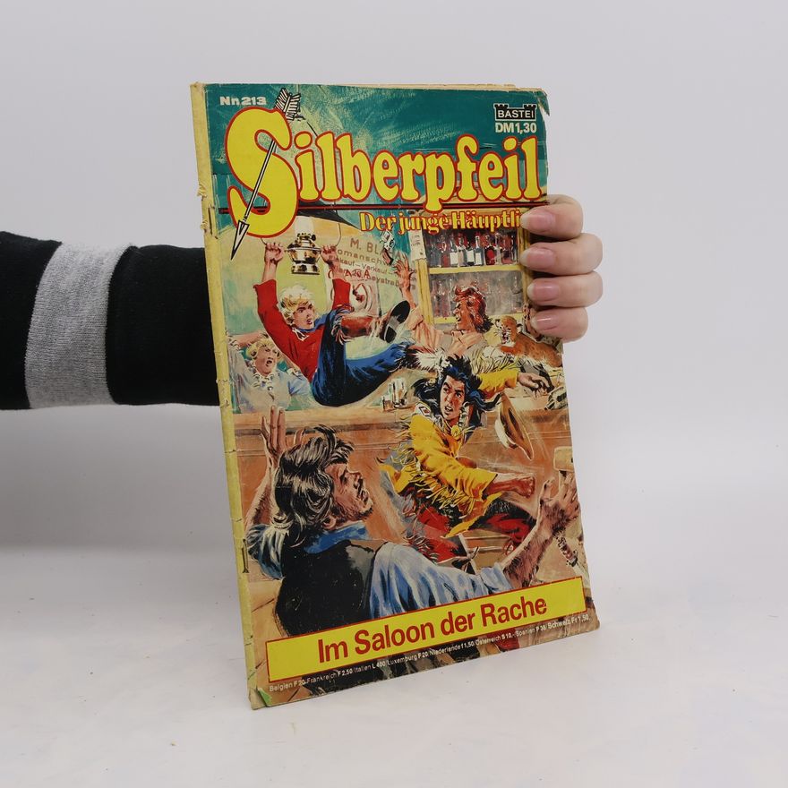 Autorenkollektiv Silberpfeil 213