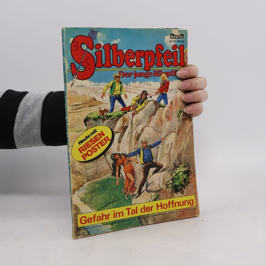 Autorenkollektiv Silberpfeil