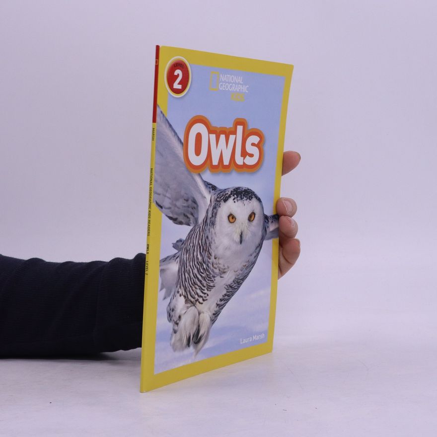 Laura Marsh Owls