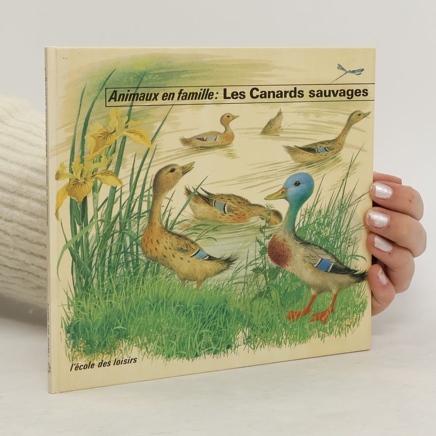 Kolektiv autorů Animax en famile : Les Canards Sauvages