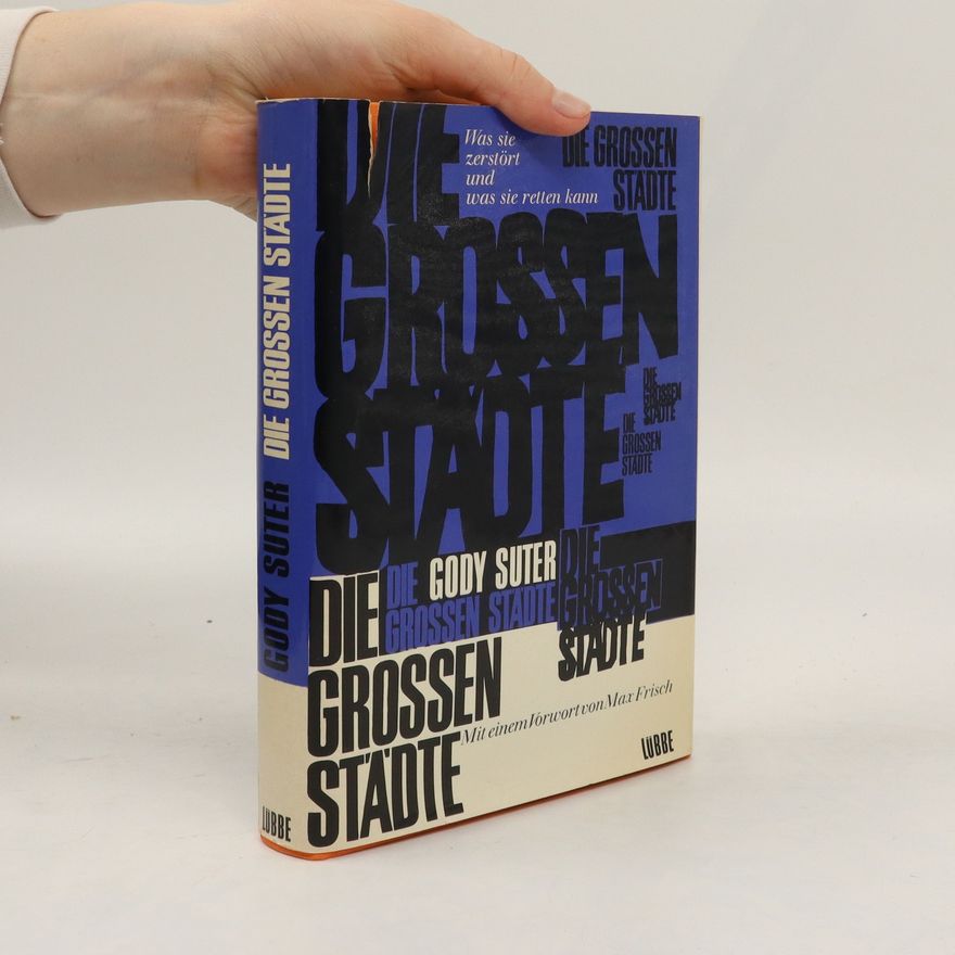 Gody Suter Die grossen Städte