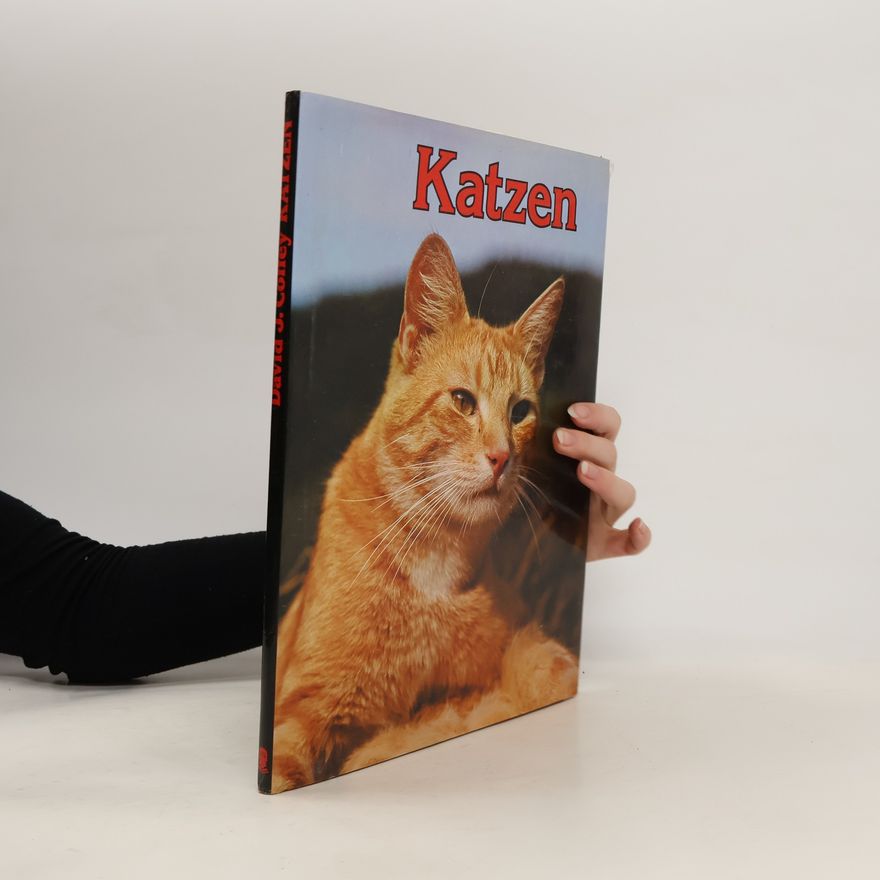 David J. Coffey Katzen