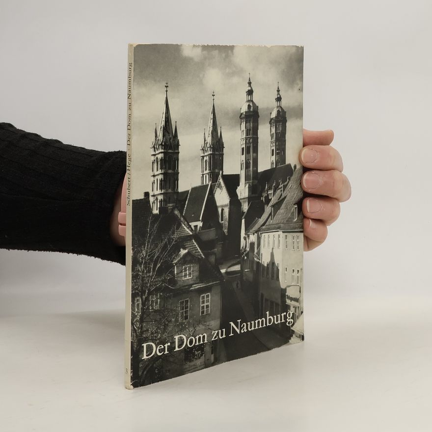Kolektív autorov Der Dom zu Naumburg