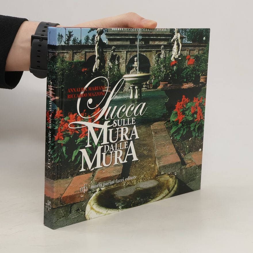 Riccardo Mazzoni Lucca sulle mura dalle mura