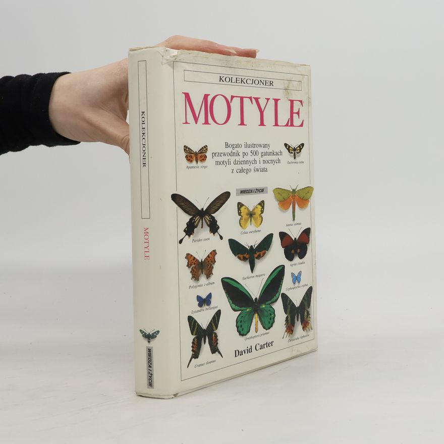 David Carter Kolekcjoner Motyle