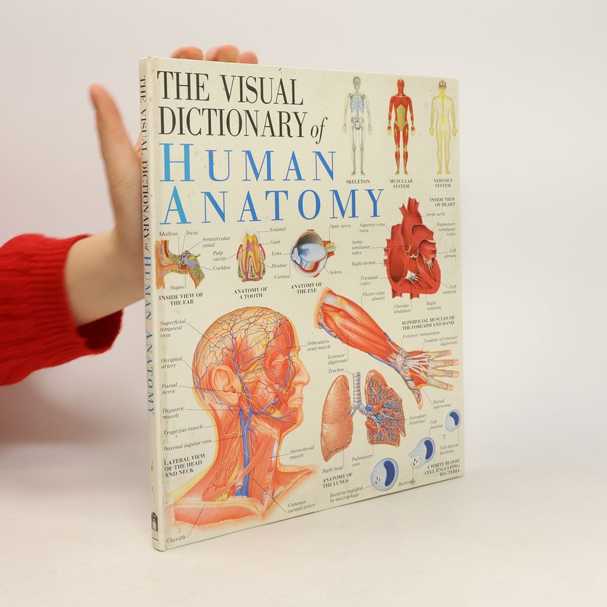 Autorenkollektiv The Visual Dictionary of Human Anatomy