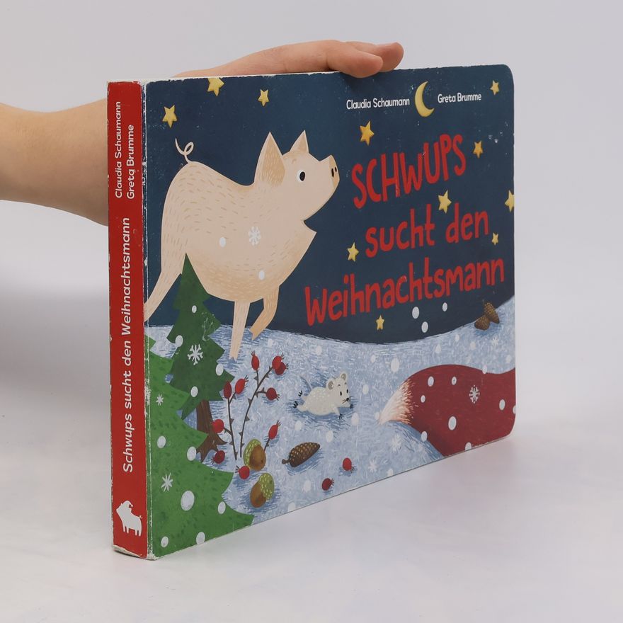 Claudia Schaumann Schwups sucht den Weihnachtsmann