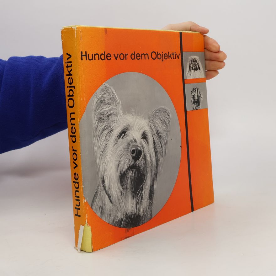 Jan Styczyński Hunde vor dem Objektiv