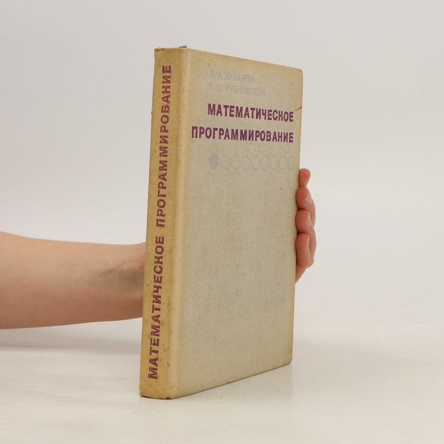 Gennadii Rubinstein Математическое Программирование