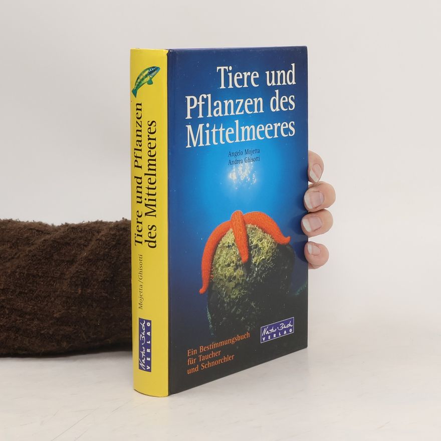 Angelo Mojetta Tiere und Pflanzen des Mittelmeeres