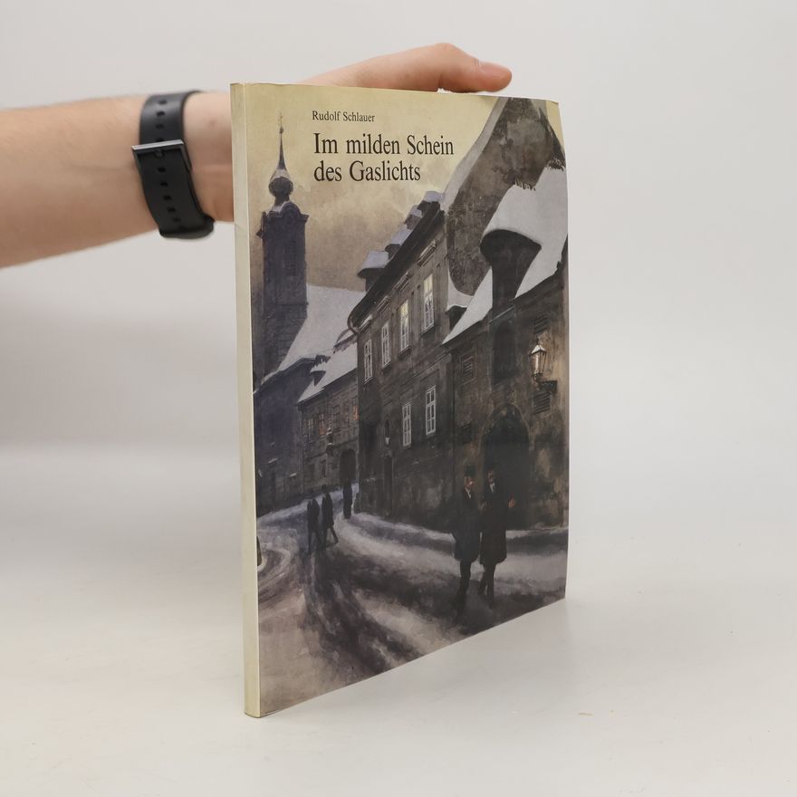 Rudolf Schlauer Im milden Schein des Gaslichts