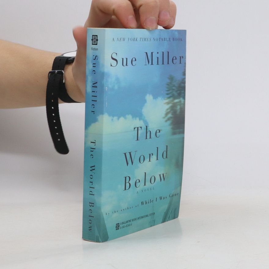 Sue Miller The World Below