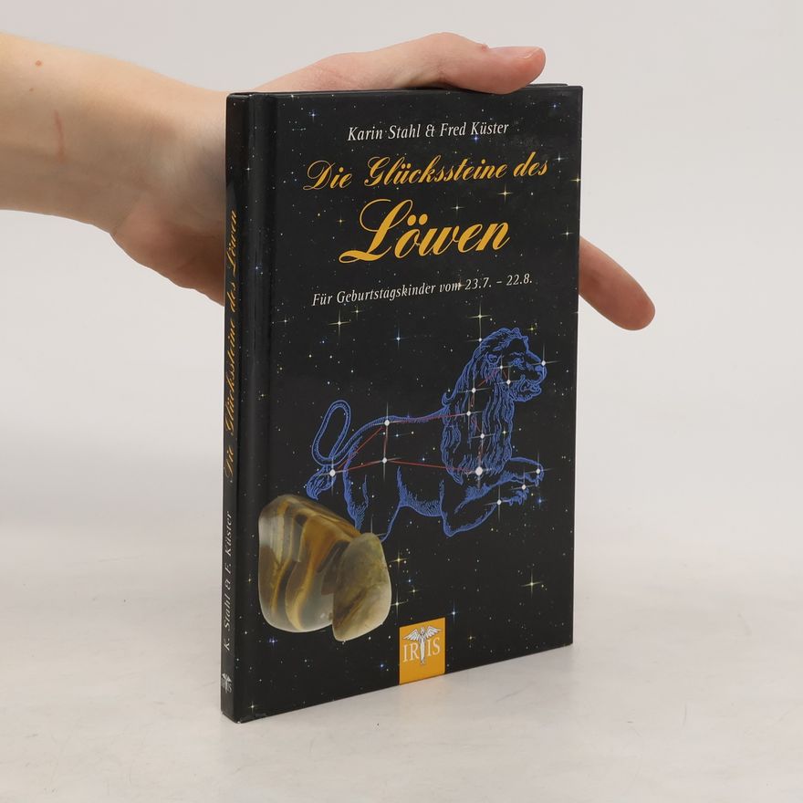 Karin Stahl Die Glückssteine des Löwen