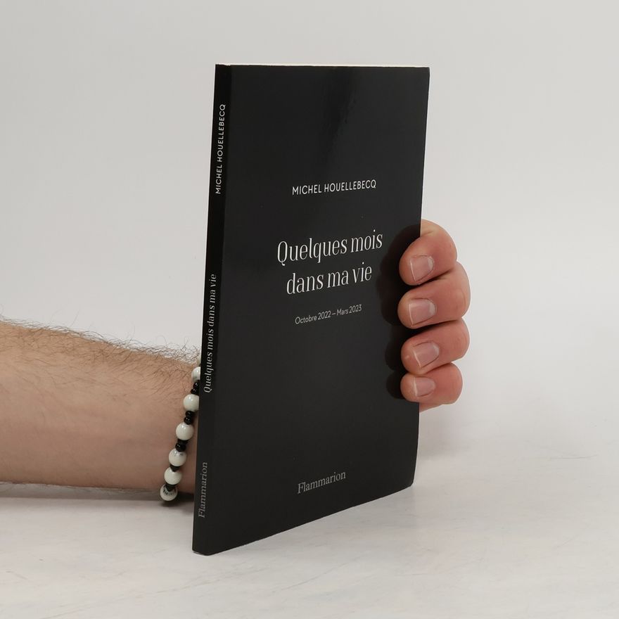 Michel Houellebecq Quelques mois dans ma vie