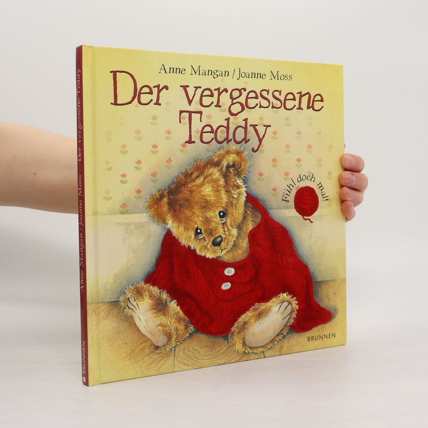 Anne Mangan Der vergessene Teddy